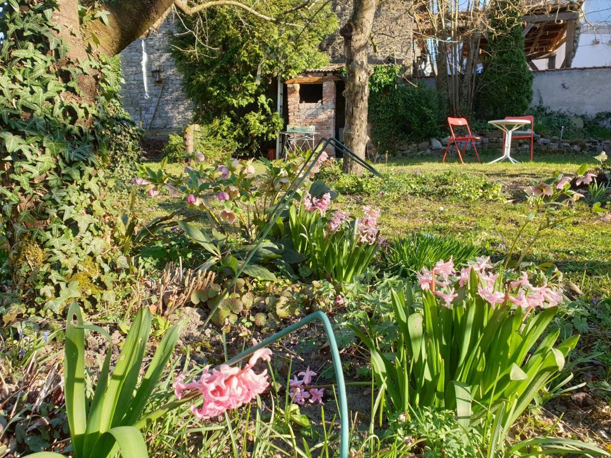 Unser Obervolkacher Ferienhaus-einfach gemütlich! Exterior foto